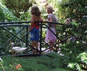 EG Waterhouse National Camellia Garden - Attractions Sydney 0