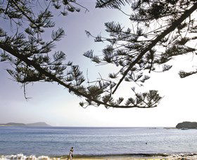 Terrigal Beach - Attractions Sydney 0