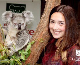 New Lambton NSW Attractions Sydney
