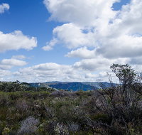 Barren Grounds Nature Reserve - Attractions Sydney