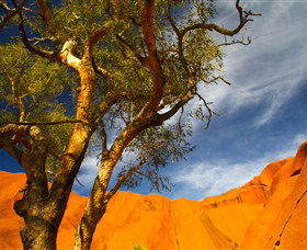 The Artery Aboriginal Art - Attractions Sydney 2