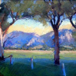 Galleries In The Gardens - Attractions Sydney 4