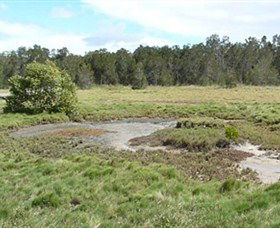 Boondall Wetlands Reserve - Attractions Sydney 1