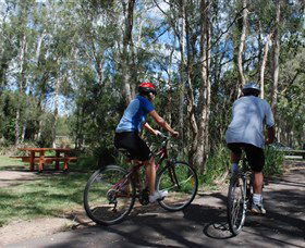 Boondall Wetlands Reserve - Attractions Sydney 2
