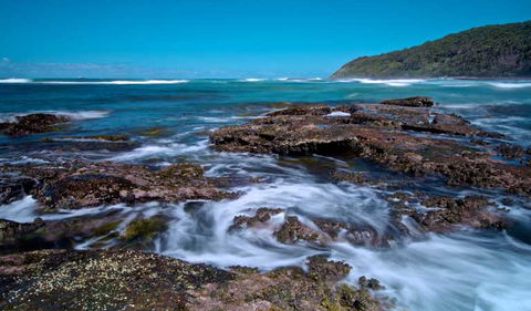 Wyrrabalong National Park - Attractions Sydney 0