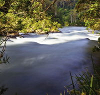 Nymboi-Binderay National Park - Attractions Sydney
