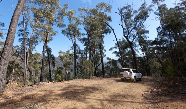 Wadbilliga NSW Attractions Sydney