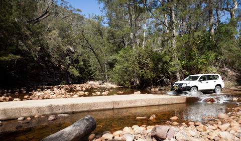 Wadbilliga Road Drive - Attractions Sydney 2