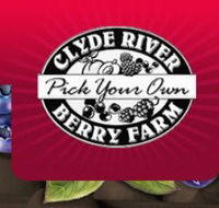 Clyde River Berry Farm - Attractions Sydney