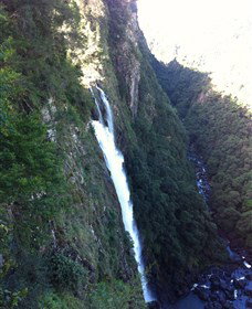 Ellenborough Falls - Attractions Sydney 0