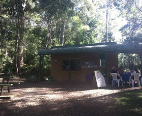 Ellenborough Falls - Attractions Sydney 1