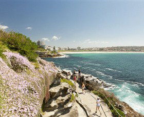 Bondi To Coogee Coastal Walk - Attractions Sydney 3