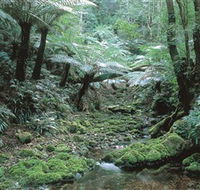The Corn Trail Walk - Attractions Sydney