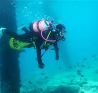 Shellharbour Scuba  Photography Centre - Attractions Sydney