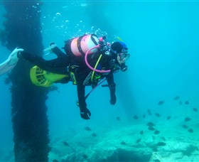 Shellharbour Scuba & Photography Centre - Attractions Sydney 0