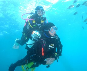 Shellharbour Scuba & Photography Centre - Attractions Sydney 1