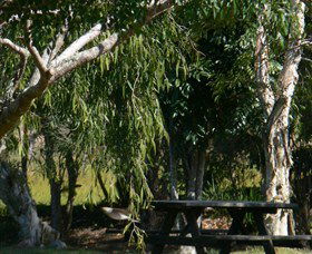 Ellangowan NSW Attractions Sydney