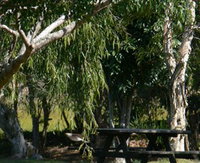 Book Casino Accommodation Vacations Attractions Sydney Attractions Sydney