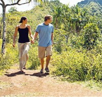 Hoddles Track - Attractions Sydney