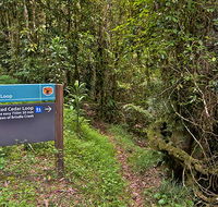 Red Cedar loop - Attractions Sydney