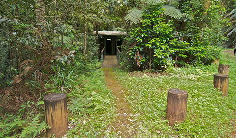 Brindle Creek Picnic Area - Attractions Sydney 0