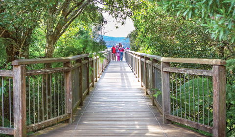 Skywalk Lookout - Attractions Sydney 0