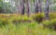 Narrawallee Inlet Walking Track - thumb 0