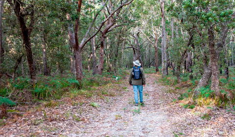 Narrawallee Inlet Walking Track - Attractions Sydney 1