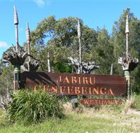 Jabiru Geenbeebeinga Wetlands - Attractions Sydney