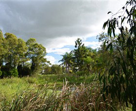 Jabiru Geenbeebeinga Wetlands - Attractions Sydney 2