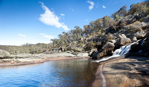 Wadbilliga National Park - Attractions Sydney 1