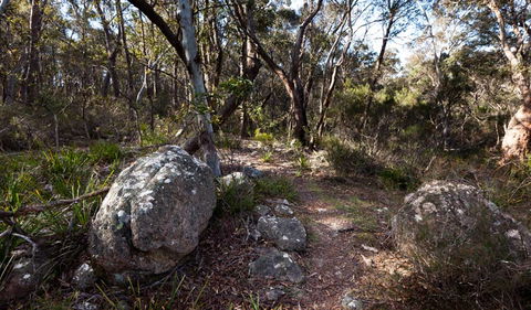 Wadbilliga National Park - Attractions Sydney 2