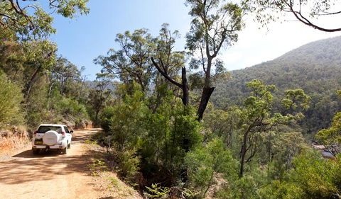 Wadbilliga National Park - Attractions Sydney 3