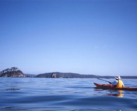 Kayaking Batemans Bay - Attractions Sydney 0