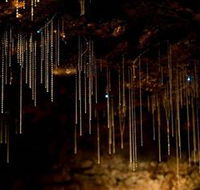 Tamborine Mountain Glow Worm Caves - Attractions Sydney
