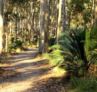 Square Head track 2 - Attractions Sydney