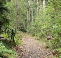 Lake walking track - Attractions Sydney