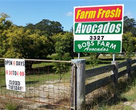 The Avocado Farm - Attractions Sydney 3
