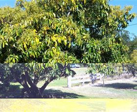 The Avocado Farm - Attractions Sydney 2