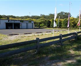 The Avocado Farm - Attractions Sydney 4