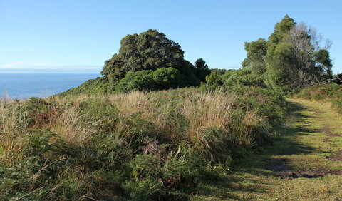 Pretty Beach To Durras Mountain Walking Track - Attractions Sydney 2