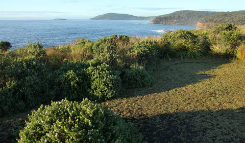 Pretty Beach To Durras Mountain Walking Track - Attractions Sydney 3