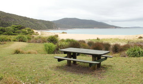 Depot Beach Picnic Area - Attractions Sydney 0