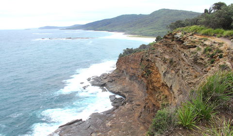 Pretty Beach To Snapper Point Walking Track - Attractions Sydney 1