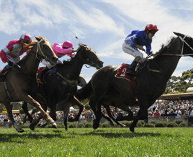 Moruya Racecourse - Attractions Sydney 0