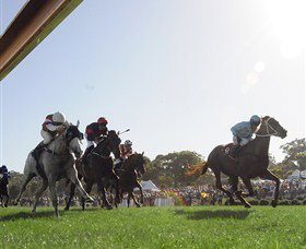 Moruya Racecourse - Attractions Sydney 1