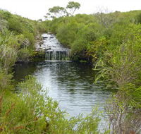 Booderee National Park Green Patch and Telegraph Creek Walking Tracks - Attractions Sydney