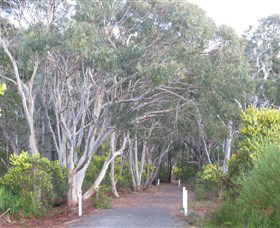 Booderee National Park: Munyunga Waraga Dhugan Walking Trail - Attractions Sydney 3