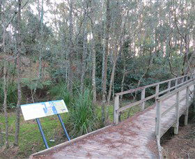 Booderee National Park: Munyunga Waraga Dhugan Walking Trail - Attractions Sydney 8
