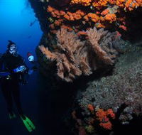Gotham City Dive Site - Attractions Sydney